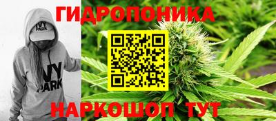 крисы Долгопрудный