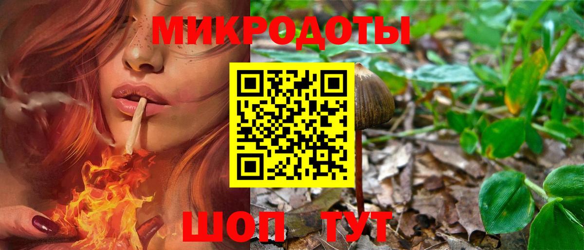 Владимир  Псилоцибиновые грибы Magic Shrooms  Вход с VPN 